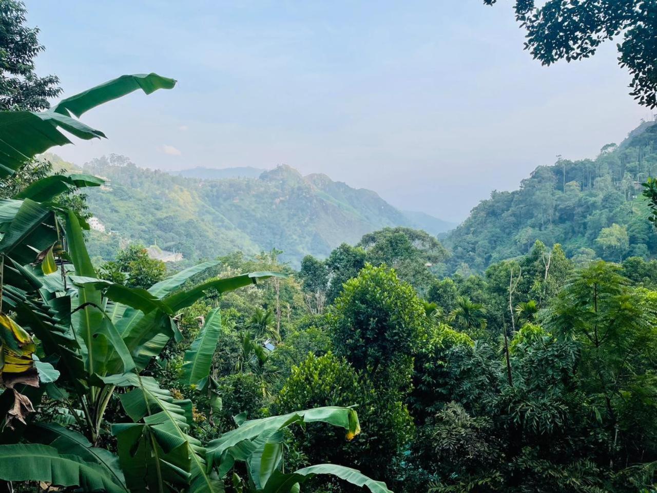 Mid Scenery Home Stay Ella Luaran gambar
