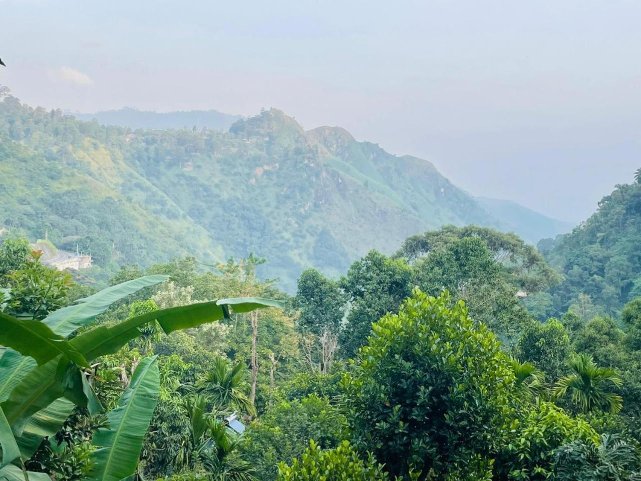 Mid Scenery Home Stay Ella Luaran gambar
