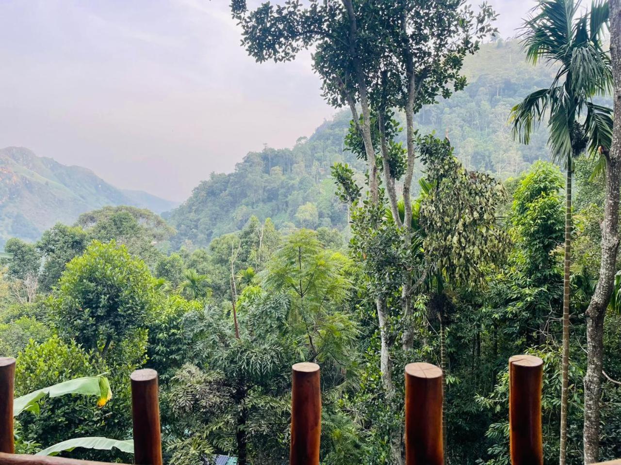 Mid Scenery Home Stay Ella Luaran gambar